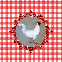 coussin poule