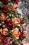 Roses anciennes - Marie BAZIN - Sam'Oz