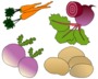 légumes2 - Florence DAVID - Sam'Oz