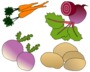 légumes2