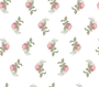 Mini roses vintages fond blanc - Florence DAVID - Sam'Oz