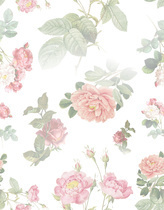 Roses vintage fond-blanc