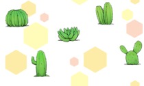 Cactus jaune