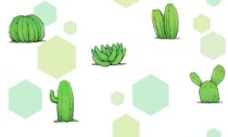 Cactus vert