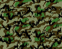 1 splinter camo A5