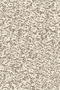 Painted Abstract Floral Texture Blender Print in  Taupe on Cream - Sy Brontide - Sam'Oz