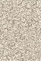 Painted Abstract Floral Texture Blender Print in  Taupe on Cream - Sy Brontide - Sam'Oz
