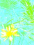 Graphismes Fleur jaune/ Fond bleu